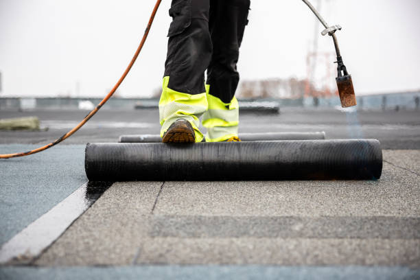 Roof Moss and Algae Removal in Golden, CO